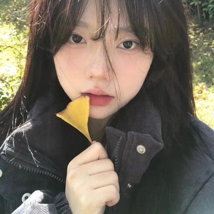 热带复眼